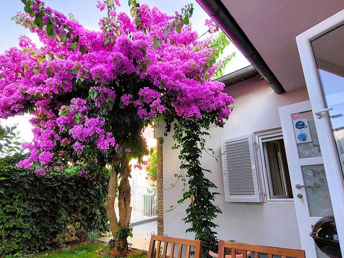 Ferienhaus für 4 Personen, mit Garten und Terrasse - 1