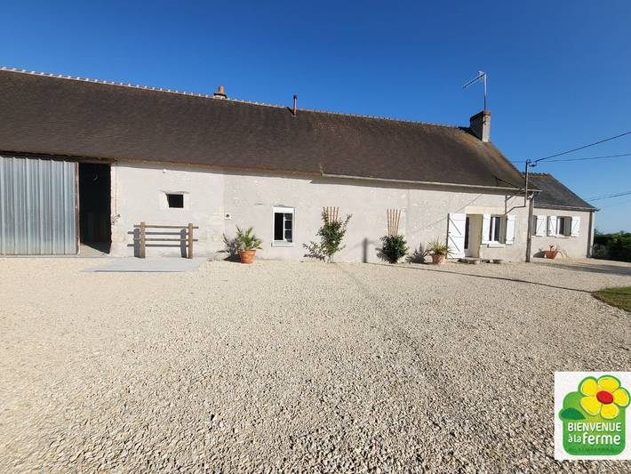 Rustikales Ferienhaus im Berry mit Terrasse und Pferdefreundlich in Paulnay, Le Blanc und Umgebung