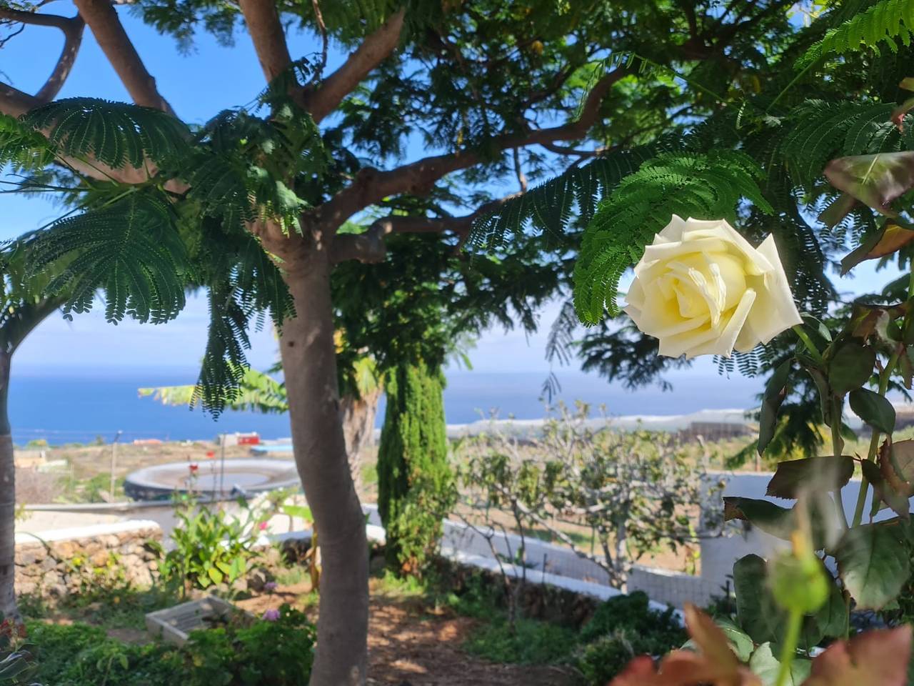 Villa Drago in Tagoro, Tacoronte