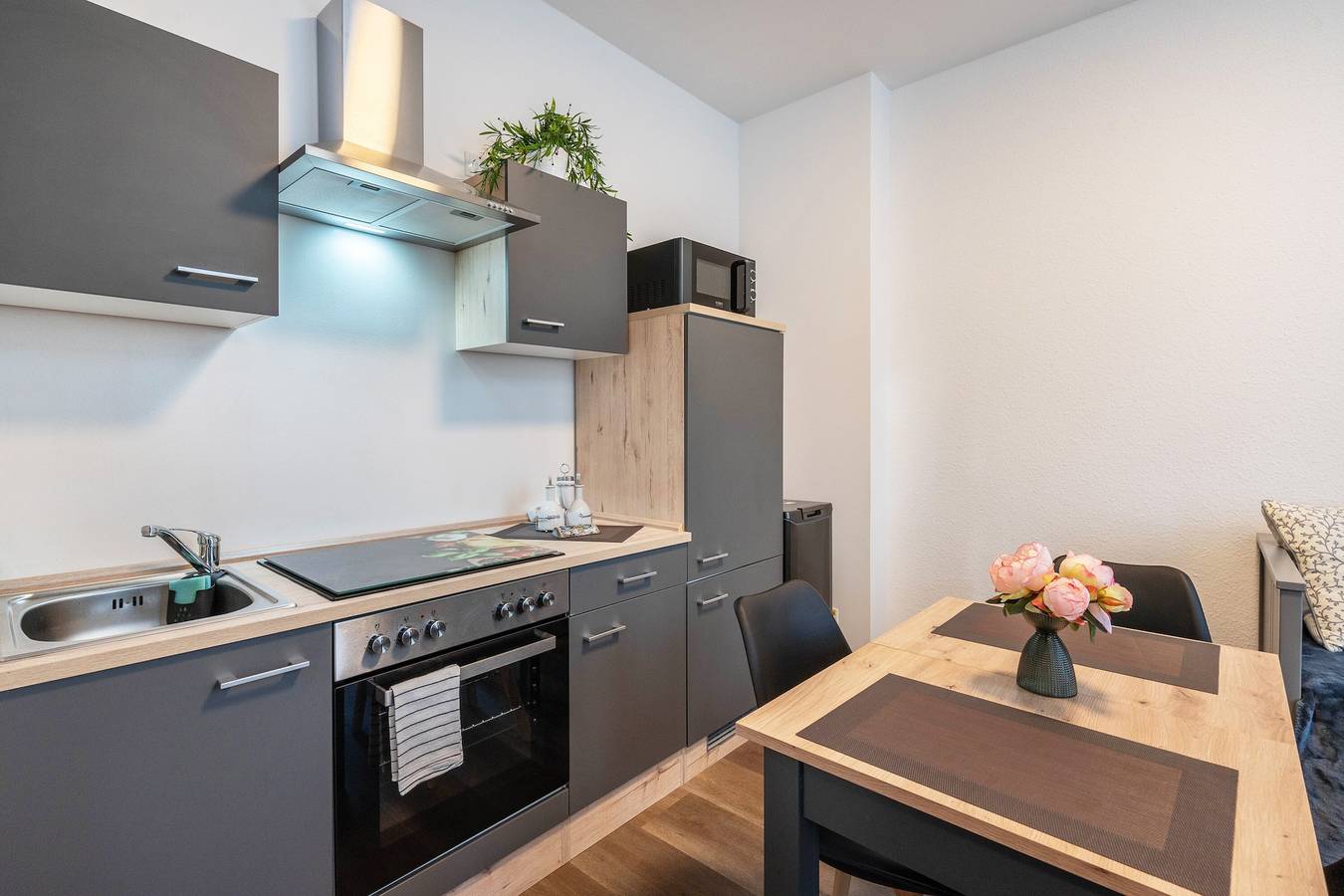 Ganze Wohnung, Apartment 'Murihaus' mit privater Terrasse und Wlan in Aue, Erzgebirge