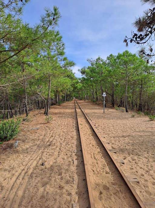 Gîte pour 6 personnes, avec jardin, animaux acceptés dans Petite Plage Saint Trojan Les Bains - 4