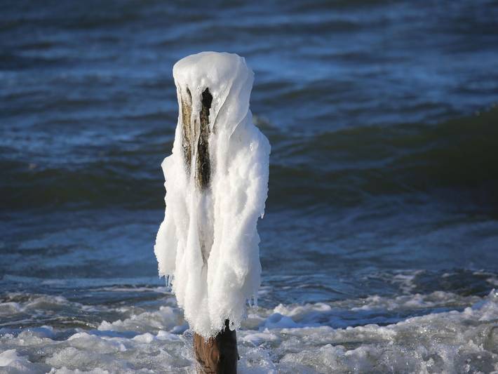 Ferienwohnung für 3 Personen, mit Balkon und Sauna in Prerow - 4