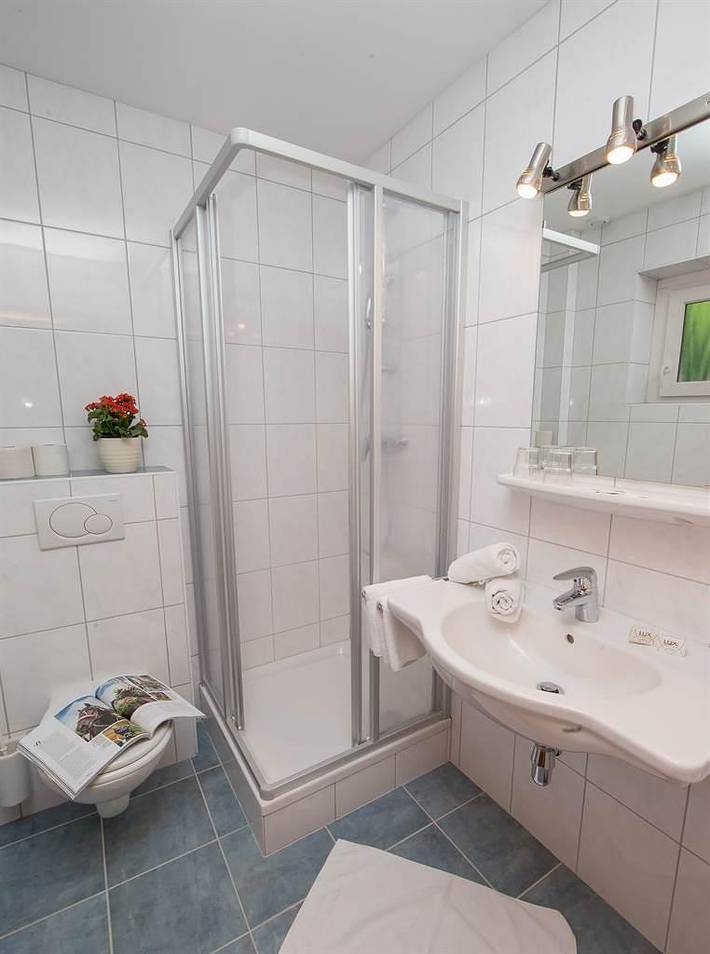 Ganze Ferienwohnung, Doppelzimmer Basic in Zell am See (Stadt), Zell am See