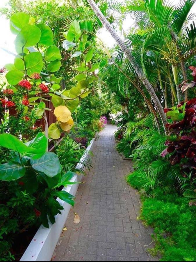 Maison d’hôte pour 4 personnes, avec piscine et jardin dans Saint Martin - 2