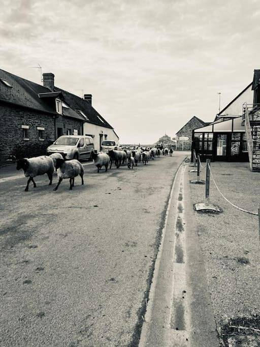 Gîte La Mouette de 4 personnes in Ardevon, Pontorson