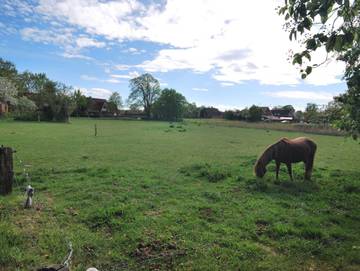 Ferienhaus für 4 Personen in Uplengen, Südliche Nordseeküste, Bild 4