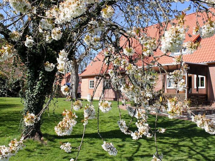 Ferienwohnung mit 1 Schlafzimmer in Suderburg, Landkreis Uelzen