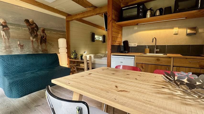 Ferienhaus für 4 Personen, mit Terrasse und Garten sowie Pool in Sint Maartensvlotbrug - 2