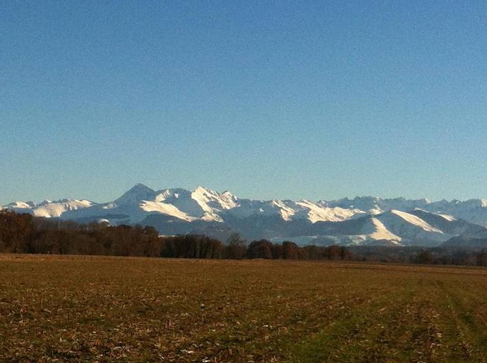 Gîte pour 2 personnes, avec Jacuzzi et Terrasse ainsi que Jardin et Vue à Livron (Pyrénées-Atlantiques) - 3