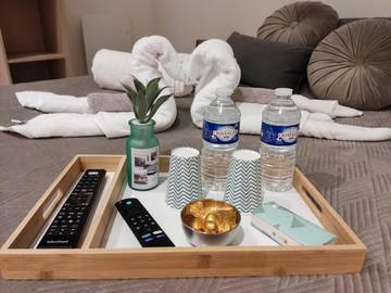 Chambre d’hôte pour 2 personnes, avec jardin ainsi que terrasse et jacuzzi à Thiers-sur-Thève
