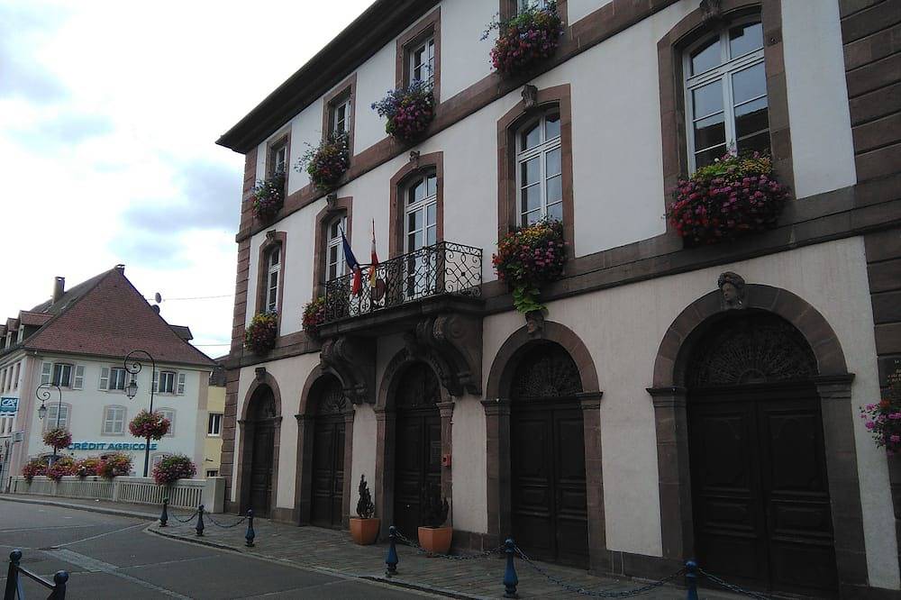 Cabaña 2 a 4 pers. cómodo en un pequeño pueblo de 4 flores in Masevaux, Parque natural regional de los Ballons des Vosges