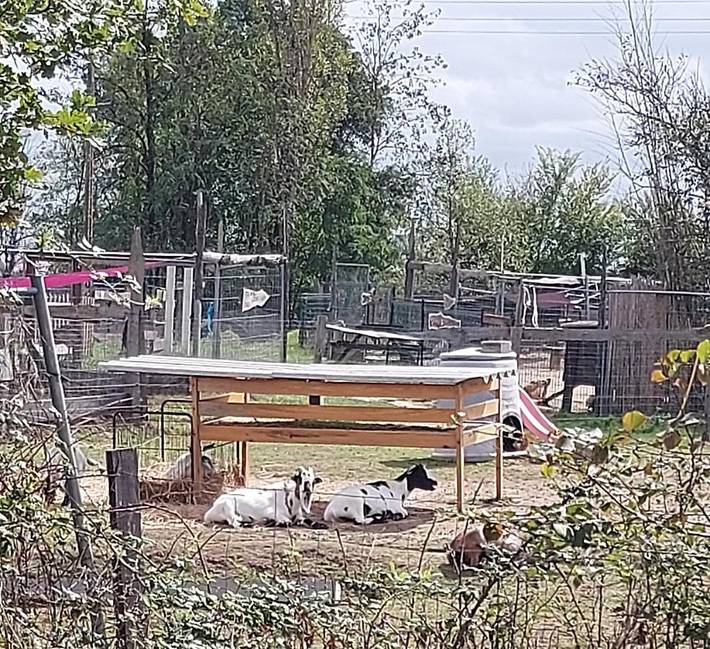 Maison de campagne pour 5 personnes, avec jacuzzi ainsi que terrasse et jardin à Castelnau-d'Auzan - 4