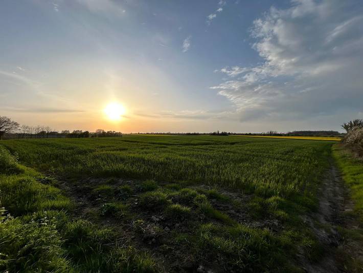 Ferienhaus für 8 Personen, mit Sauna und Garten sowie Terrasse, kinderfreundlich in Råde Strand - 2
