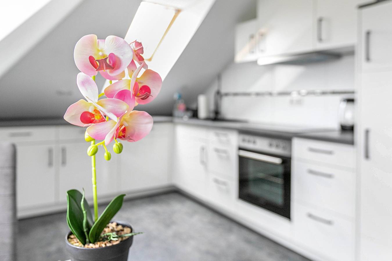 Ganze Wohnung, Apartment 'Ferienwohnung' mit Wlan in Leck, Grünes Binnenland