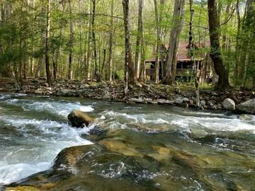 Glamping for 6 Guests in Cosby (TN), Cocke County, Picture 2