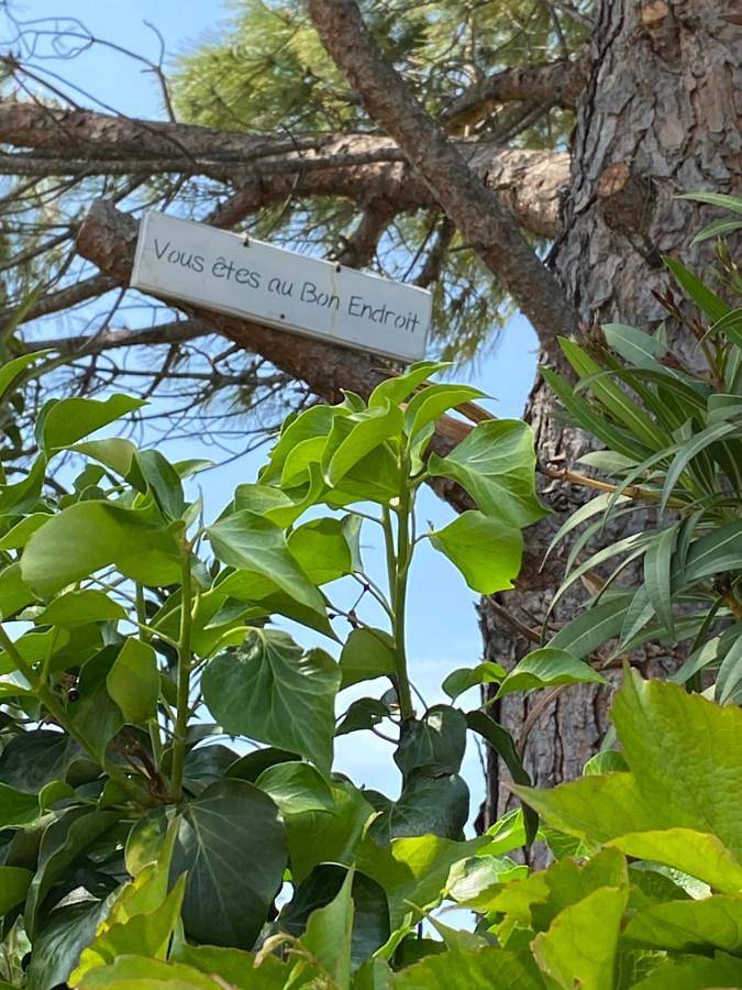 Gîte pour 2 personnes, avec terrasse et jardin ainsi que piscine et vue à Sérignan-du-Comtat - 4