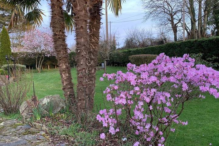 Location de vacances pour 3 personnes, avec jardin à Caumont-l'Éventé - 4