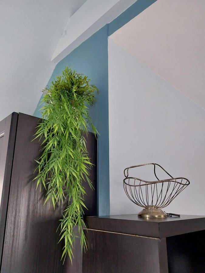 Location de vacances pour 4 personnes, avec jardin, adapté aux familles à Saint-Gatien-des-Bois - 4