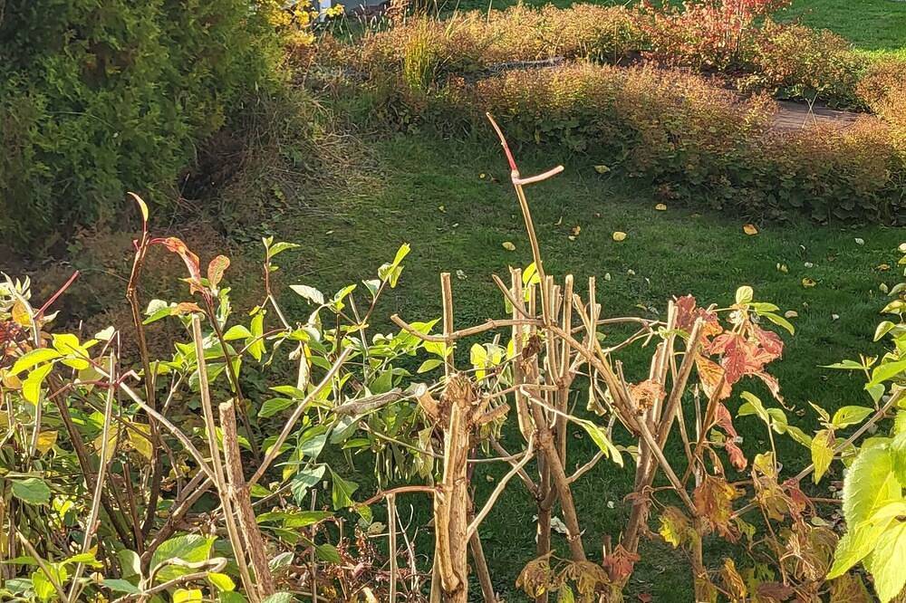 D&B staycation Ferienpark,\nferienwohnung \"Die Kugel\" in Niedenstein, Schwalm-Eder-Kreis