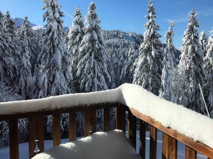 Gîte pour 9 personnes, avec balcon à Laveissière - 2