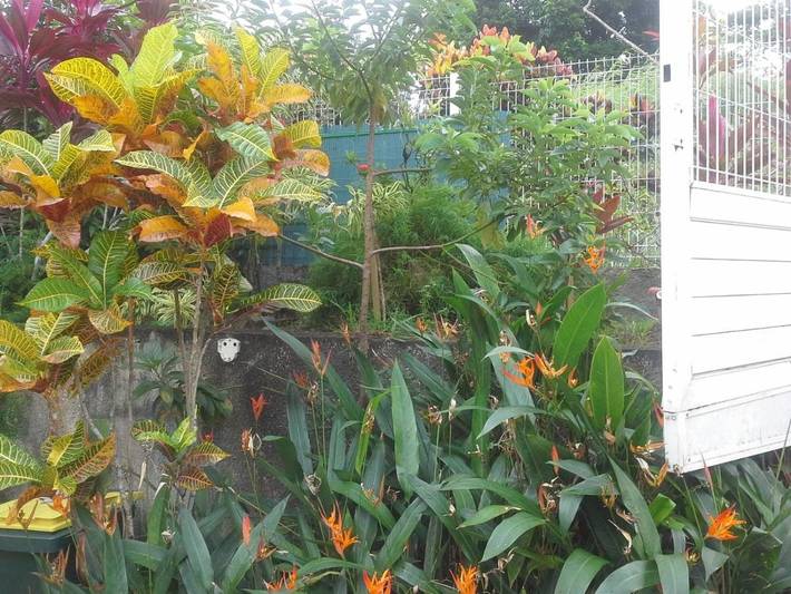 Gîte pour 2 personnes, avec vue et jardin à Le Robert - 4