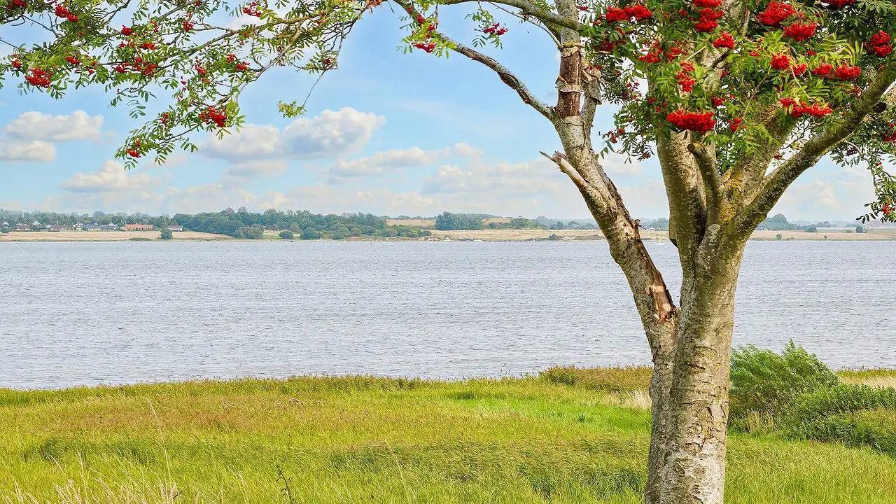 Ferienhaus für 5 Personen (59 m²) in Stenø in Gerlev Strandpark, Frederikssund