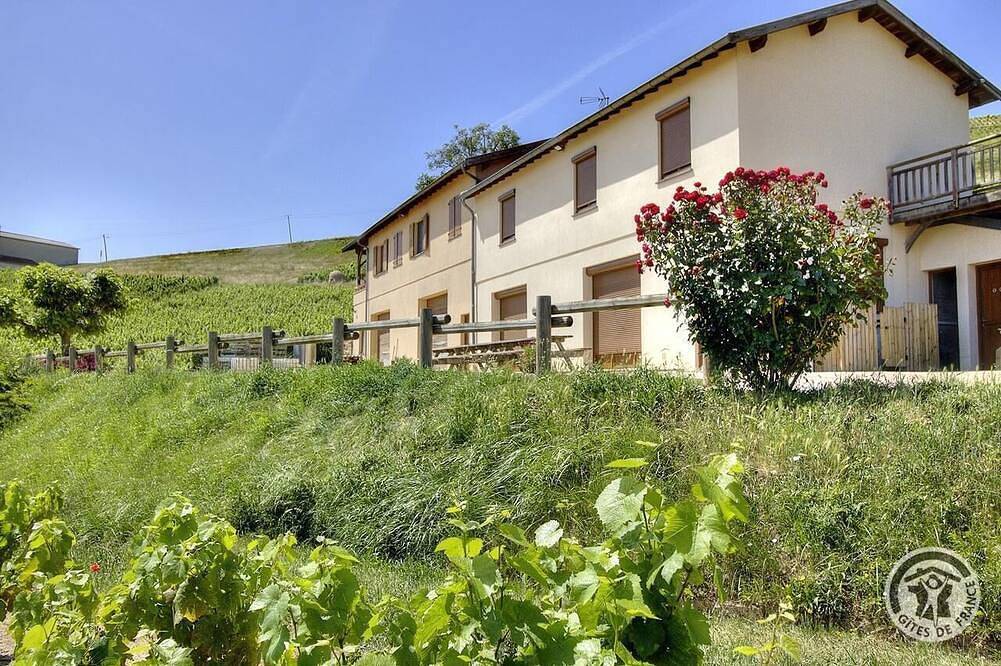 Gîte de l'Artisan-Vigneron in Fleurie, Région de Villefranche-sur-Saône