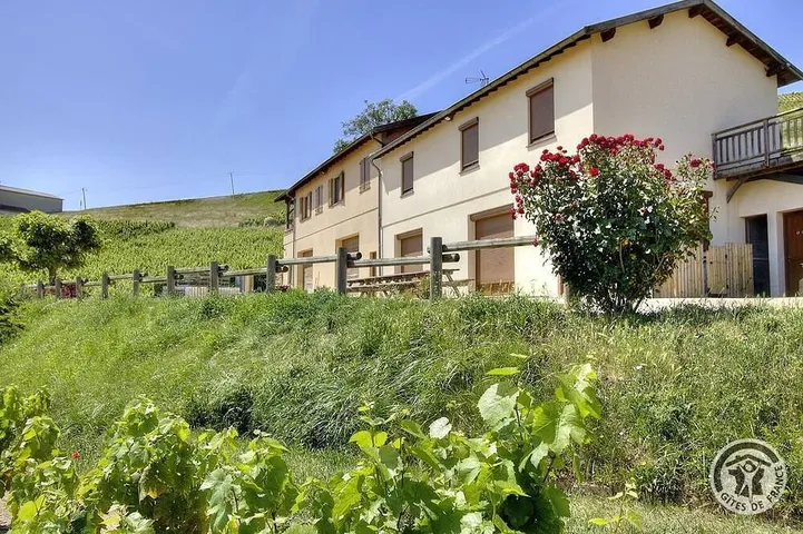 Gîte de l'Artisan-Vigneron in Fleurie, Région de Villefranche-sur-Saône