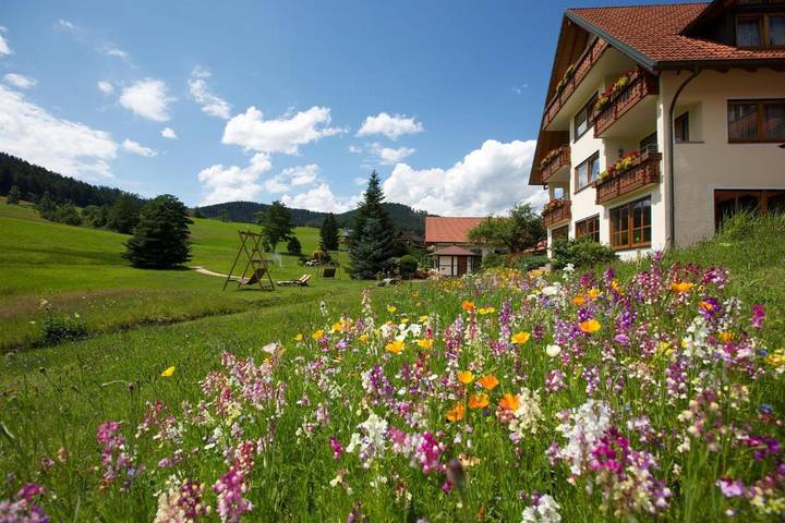 Maison d’hôte pour 3 personnes, avec balcon et jardin à Baiersbronn - 3