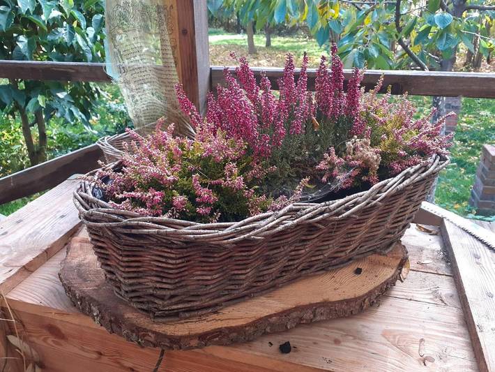 Ferienhaus für 12 Personen, mit Garten und Ausblick in Niederschlesien - 3