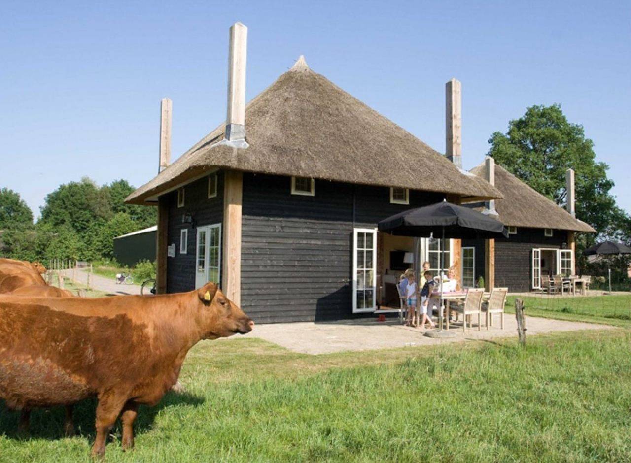 Erve Woolderink — 2 Reggehooiberg vakantiehuisjes in Wierden, Twente