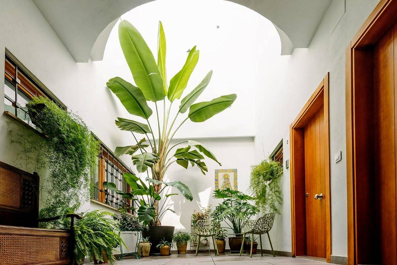 Barracart Apartments in Valencia, Costa de Valencia