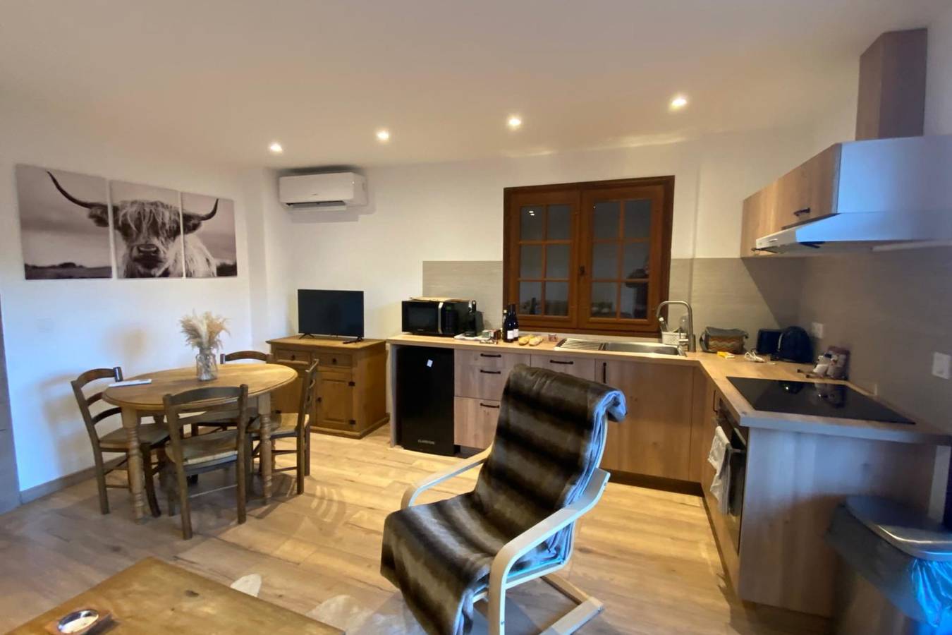 Appartement entier, T2 cosy avec cheminée et terrasse - 5min Valberg in Beuil, Région de Nice