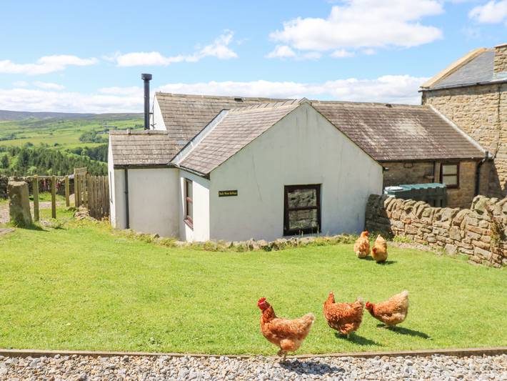 Cottage for 4 people, with garden - 1