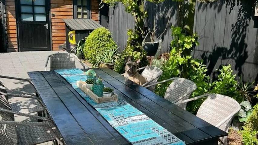 Ferienhaus für 4 Personen, mit Terrasse und Garten in Sint Maartenszee