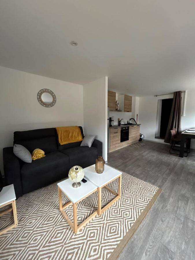 Location de vacances pour 4 personnes, avec terrasse et vue ainsi que vue sur le lac et jardin, animaux acceptés à Champagney - 2
