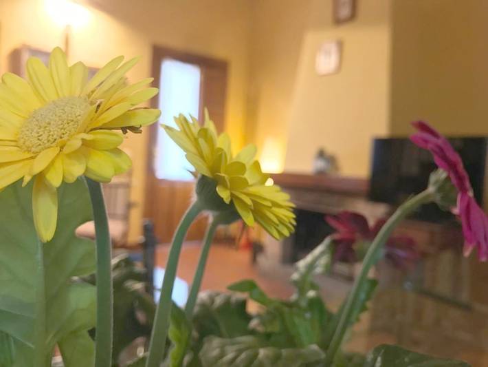 Casa rural para 4 personas, con vistas y terraza en Sierra Norte - 4