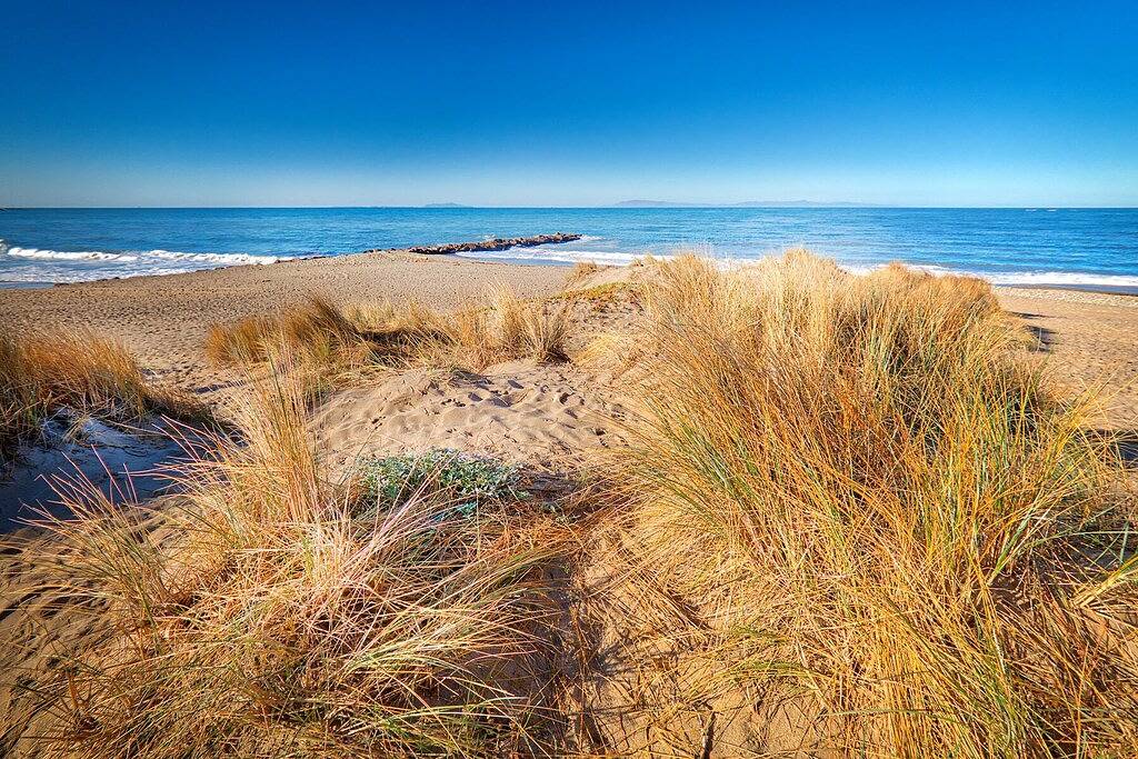 Perfektes Strandhaus! Meerblick, Schritte zum Strand - toller Garten! in Ventura Beach, Ventura