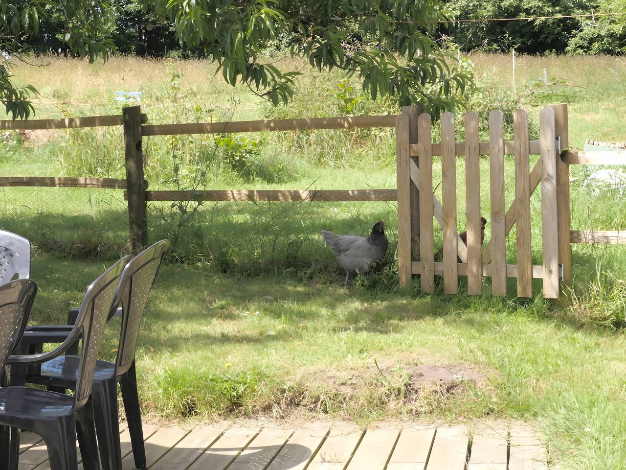 Gîte le Penn-ty Sud Finistère in Rosporden, Région de Quimper