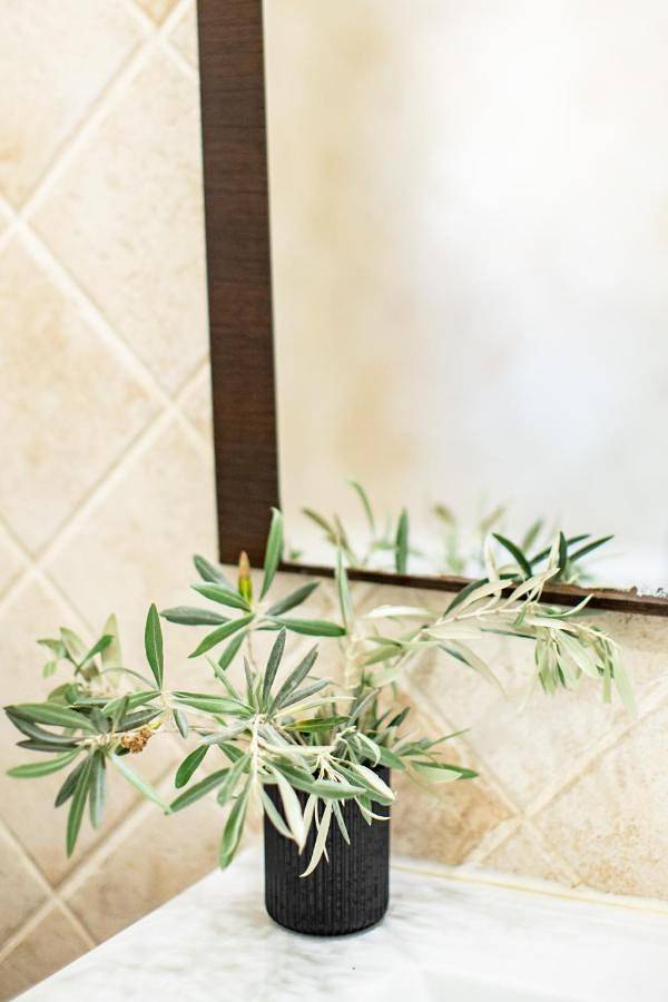 Casa rural para 8 personas, con piscina además de vistas y terraza en Guadamur - 3