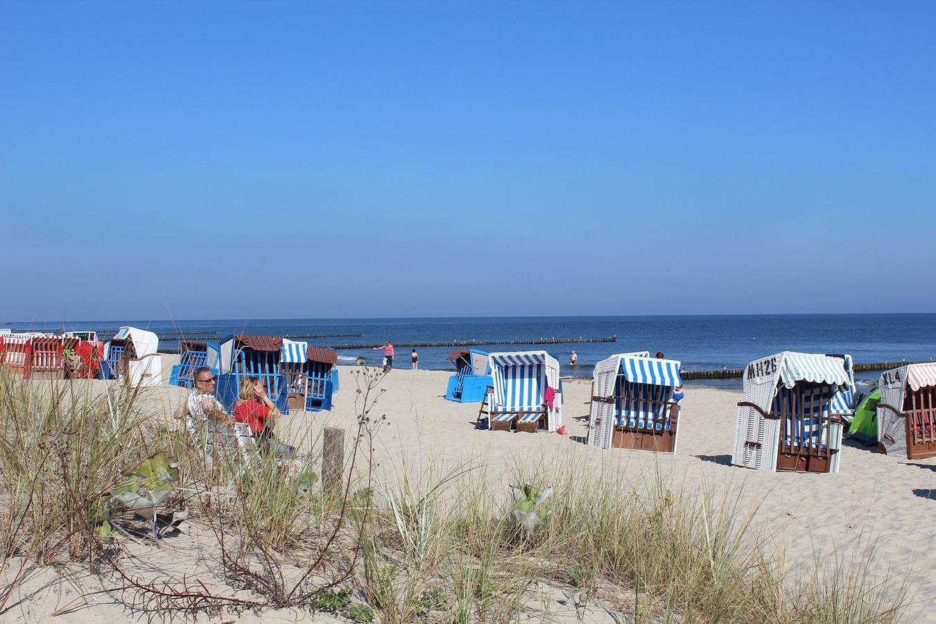 Ganze Wohnung, Villa Cölpin Wohnung Charlotte - zentral und strandnah gelegen in Kölpinsee, Loddin