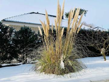 Ferienhaus für 7 Personen in Karlshagen, Usedom, Bild 2
