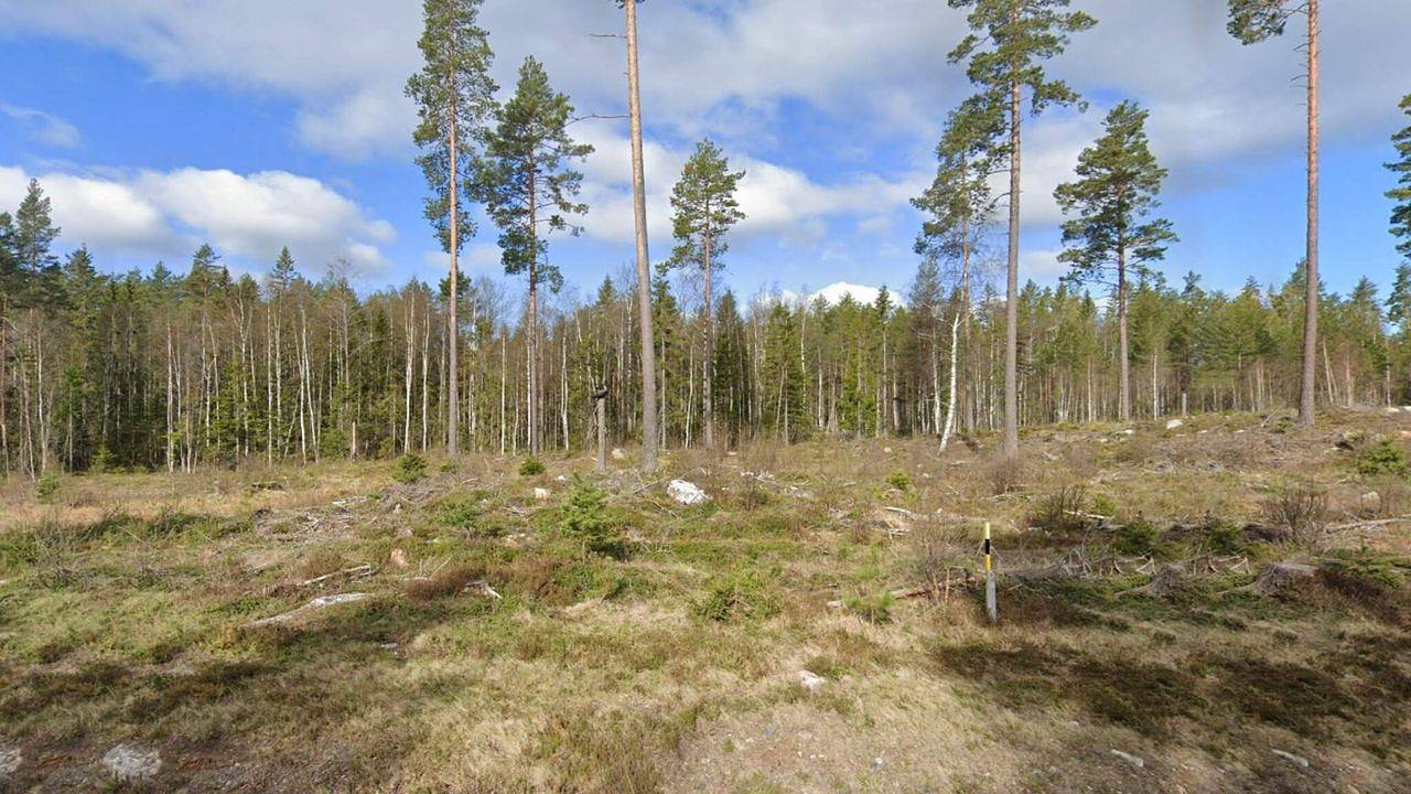 Ferienhaus für 6 Personen (50 m²) in Kopparberg in Ljusnarsberg, Örebro und Umgebung