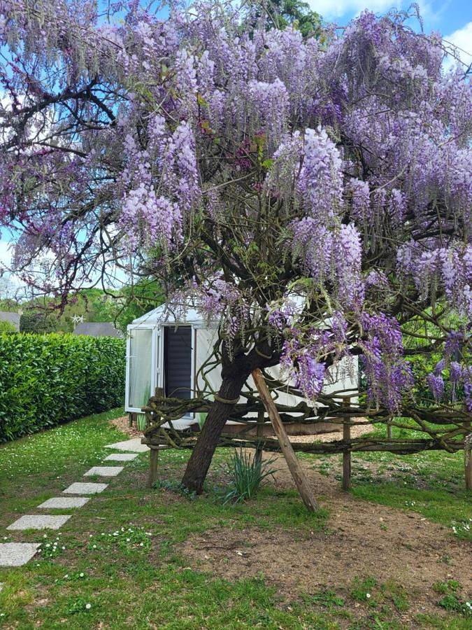 Cottage pour 2 personnes, avec jardin à Briollay