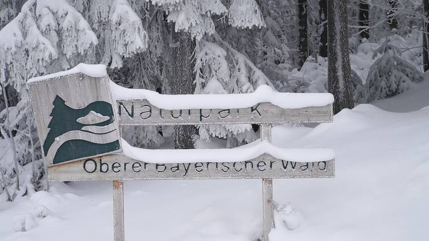 Hotel für 2 Personen, mit Garten in Furth im Wald - 2