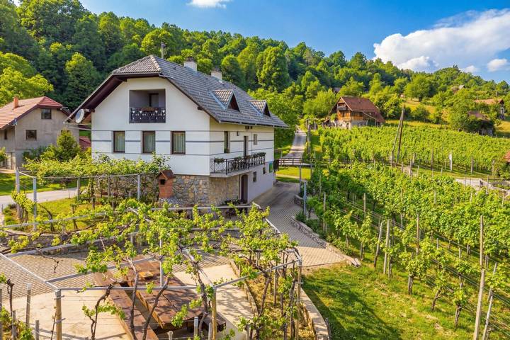 Ferienhaus für 12 Personen, mit Terrasse, mit Haustier in Slowenien