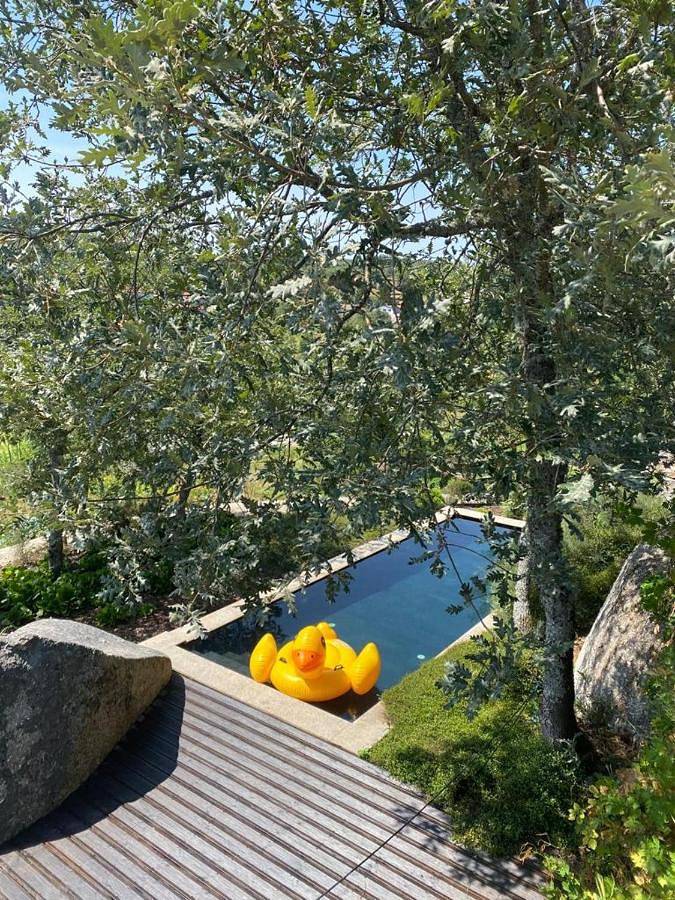 Gîte pour 2 personnes, avec jardin et piscine ainsi que terrasse et vue dans Castro Daire - 2