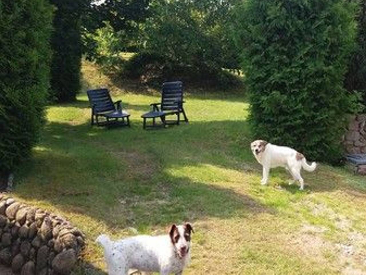 Ferienhaus Schwarz in Schwarz, Mecklenburgische Seenplatte