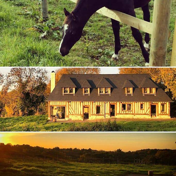 Location de vacances pour 6 personnes, avec vue ainsi que jardin et terrasse, animaux acceptés à Les Authieux-sur-Calonne