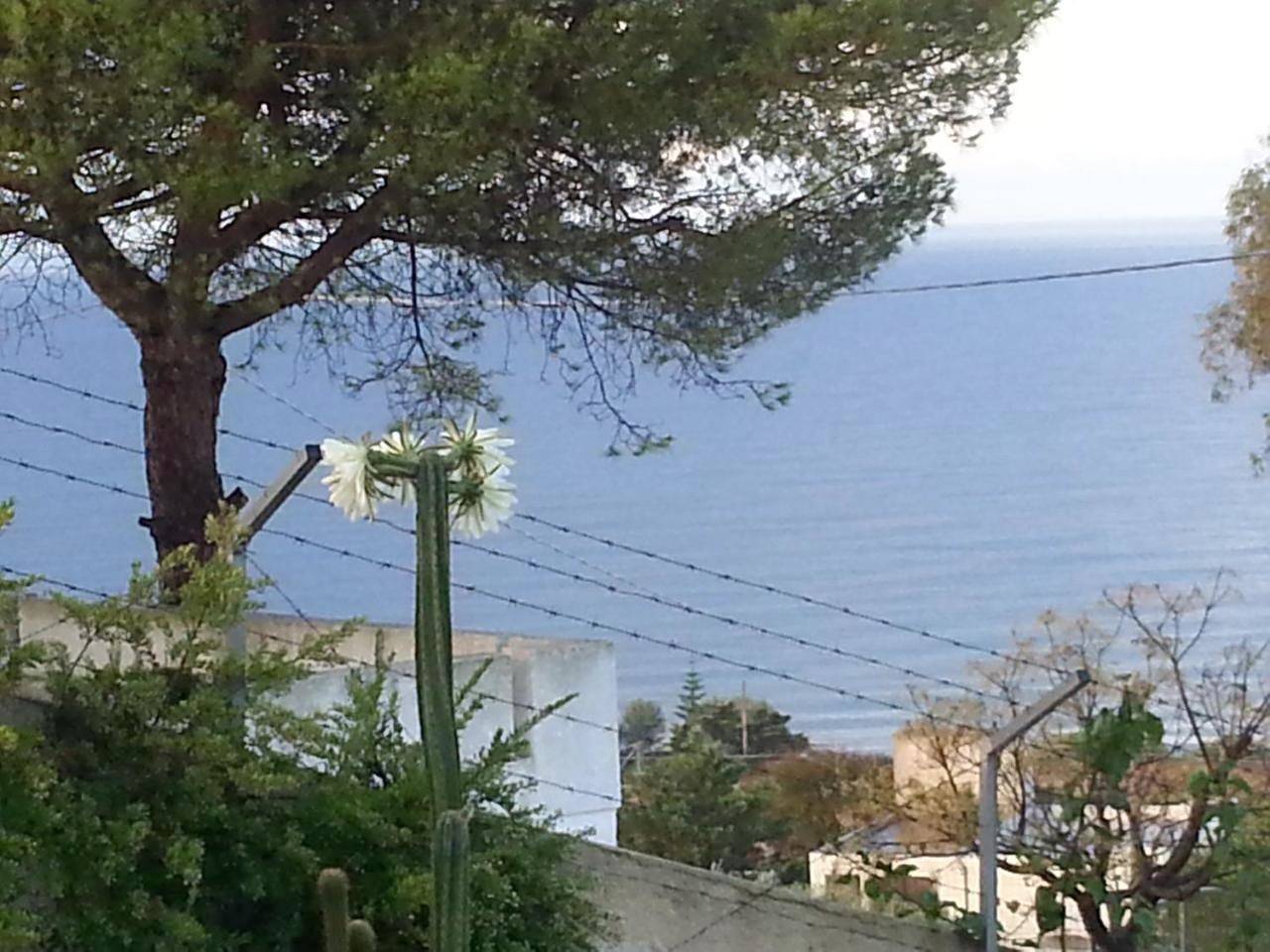 Two-Bedroom Apartment with View in Torre Vado, Golfo di Taranto